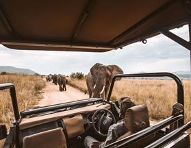 safari holidays from ireland